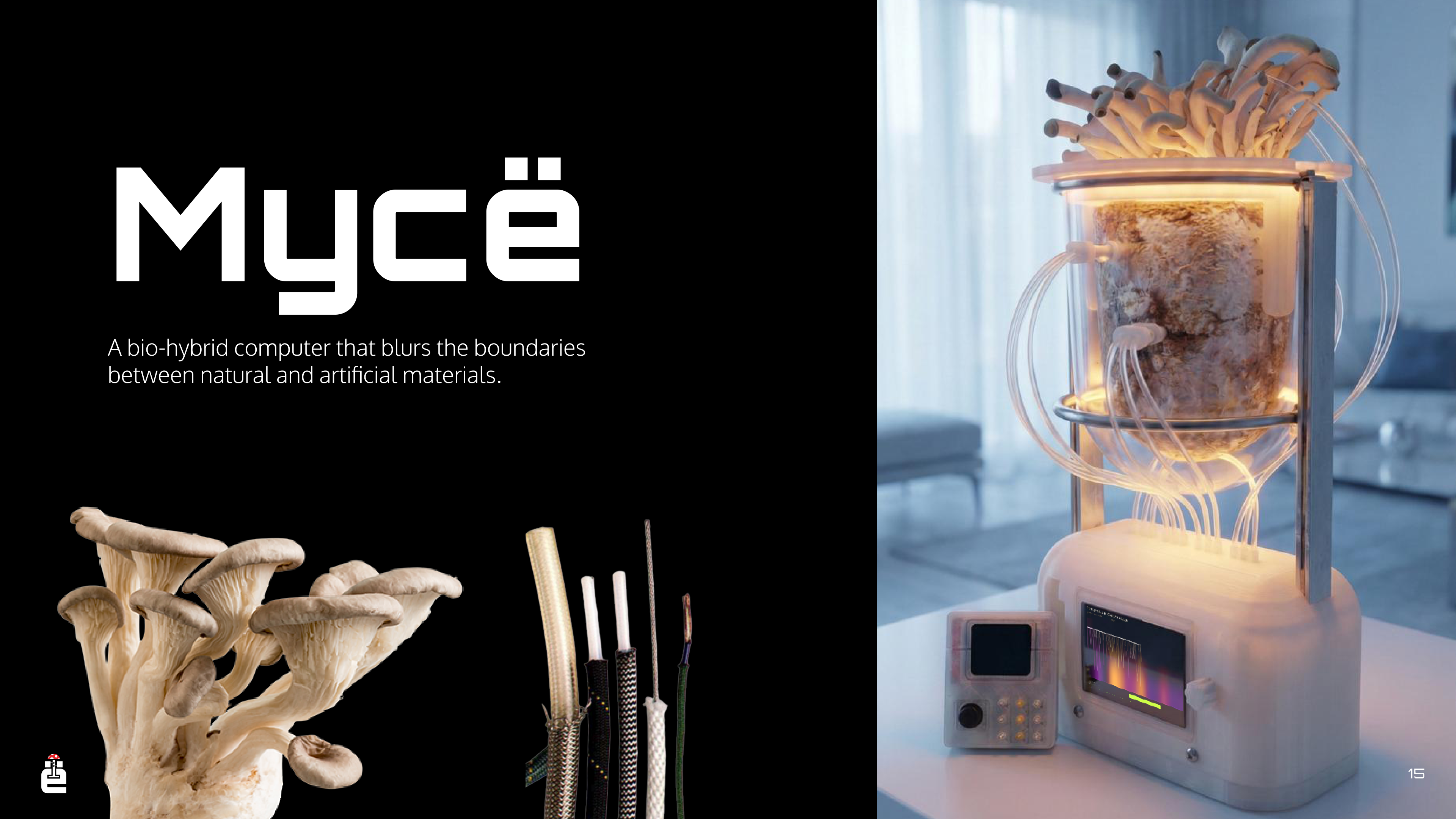 Myce bio-hybrid computer — translucent growth chamber with living mycelium